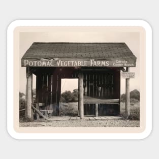 Potomac vegetable farm Sticker